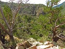 photo thumbnail #15