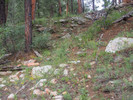 photo thumbnail #7