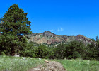 photo thumbnail #1