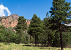 photo thumbnail #9