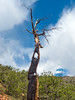 photo thumbnail #13