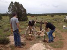 photo thumbnail #6