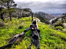 photo thumbnail #12