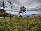 photo thumbnail #13
