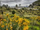 photo thumbnail #14