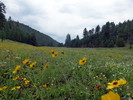 photo thumbnail #1