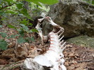 photo thumbnail #9