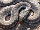 photo thumbnail #14