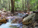 photo thumbnail #10