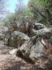 photo thumbnail #12