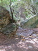 photo thumbnail #15