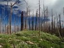 photo thumbnail #1