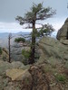 photo thumbnail #6