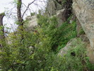 photo thumbnail #12