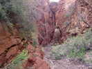 photo thumbnail #6