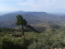 photo thumbnail #4
