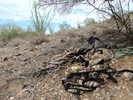 photo thumbnail #13