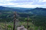 photo thumbnail #5