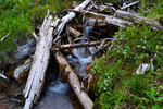 photo thumbnail #7