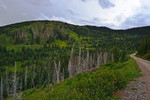 photo thumbnail #9