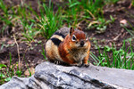 photo thumbnail #14