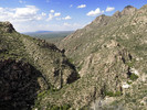 Featured Full Photo