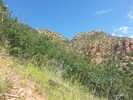 photo thumbnail #5