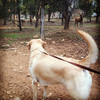 photo thumbnail #8