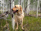 photo thumbnail #11