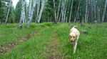 photo thumbnail #10