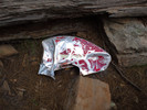 photo thumbnail #7