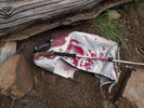 photo thumbnail #8