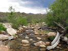 photo thumbnail #1