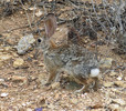 photo thumbnail #8