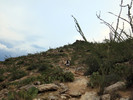 photo thumbnail #10
