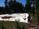 photo thumbnail #4