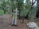 photo thumbnail #12