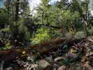 photo thumbnail #13
