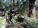 photo thumbnail #14