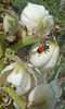 photo thumbnail #11