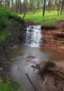 photo thumbnail #6