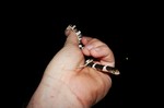 photo thumbnail #7