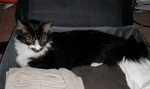 photo thumbnail #10