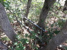 photo thumbnail #8
