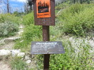 photo thumbnail #11