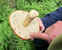 photo thumbnail #3