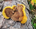 photo thumbnail #6