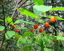 photo thumbnail #14