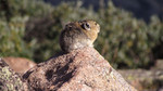 photo thumbnail #4
