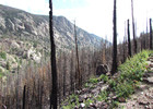 photo thumbnail #8